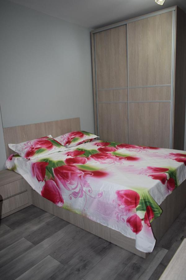 Apartament Parc Central Rhbm Baia Mare Exterior photo