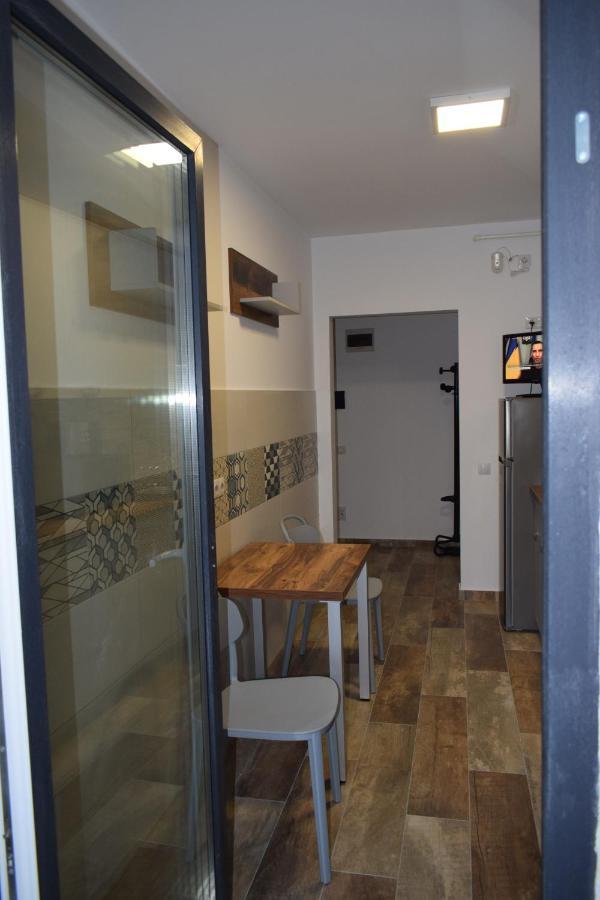 Apartament Parc Central Rhbm Baia Mare Exterior photo